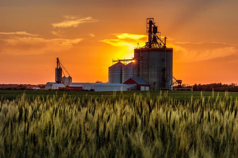 Featured image for “2007”