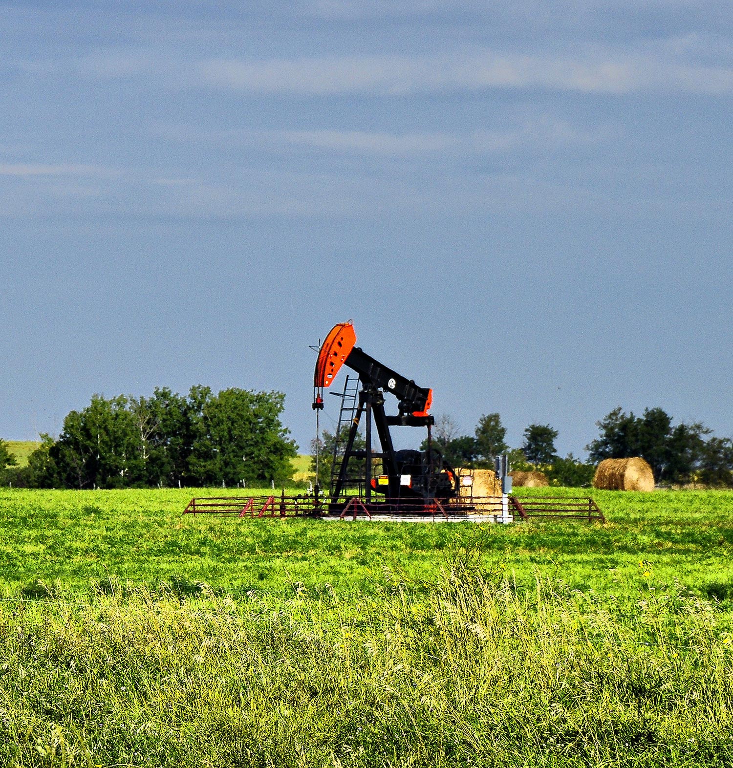 Featured image for “2003”