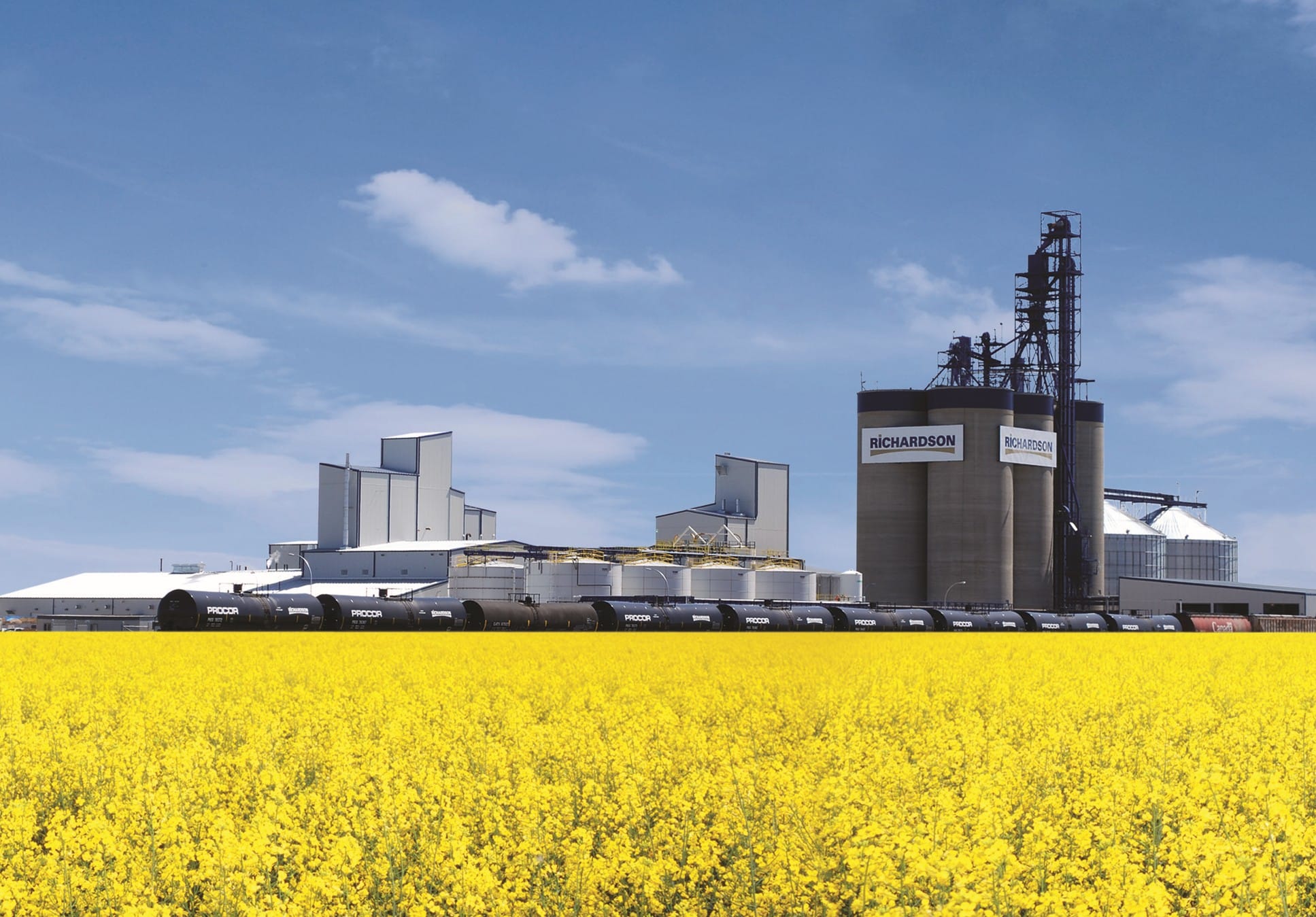 Featured image for “2010”